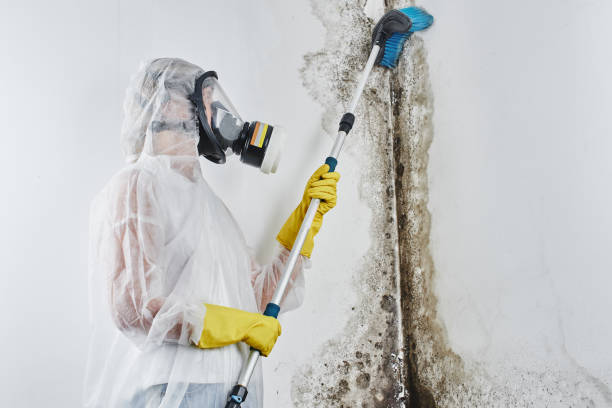 Best Crawl Space Mold Removal  in St Marys, KS