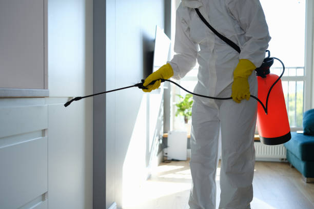 Best Emergency Mold Removal  in St Marys, KS